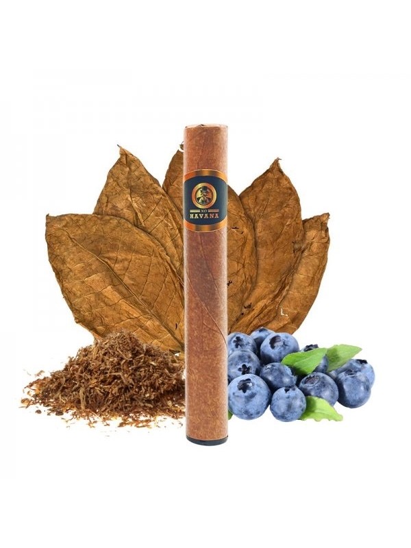 XO Havana Daisy Cigar Disposable 1
