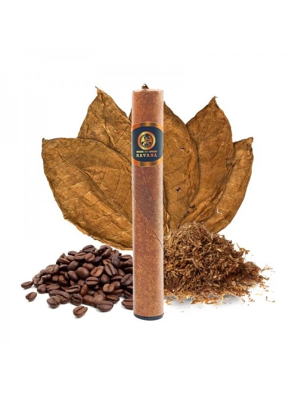 XO Havana Venecia Cigar Disposable 1